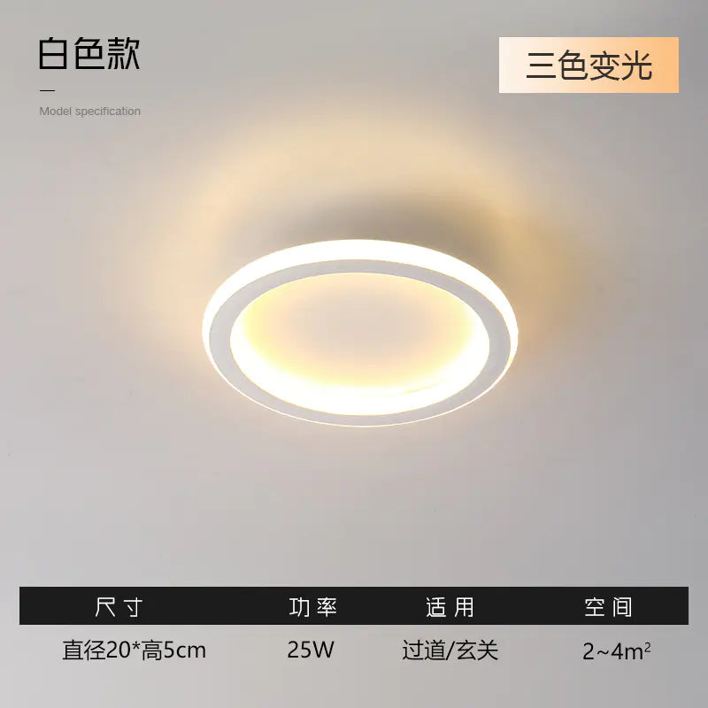 Modern Minimalist Ceiling Light for Hallway and Balcony