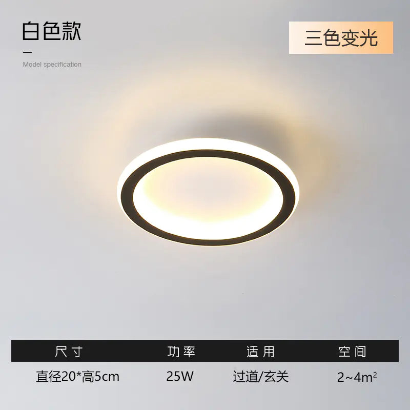 Modern Minimalist Ceiling Light for Hallway and Balcony