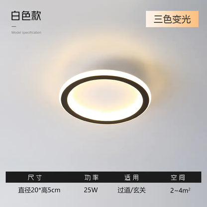 Modern Minimalist Ceiling Light for Hallway and Balcony